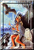 Pantheon of the Norse
